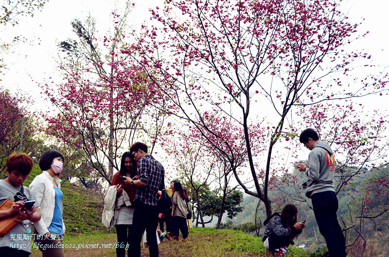 濁水巷 102_副本.jpg