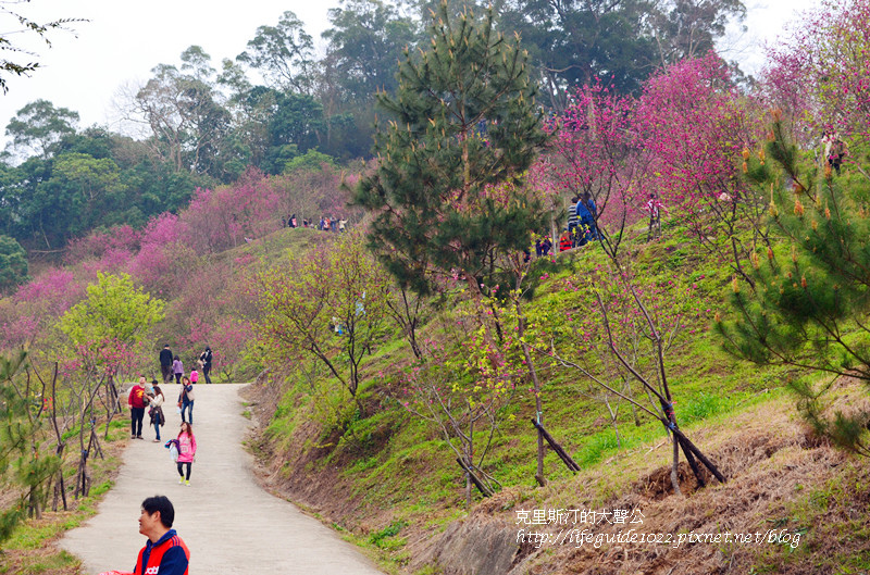 濁水巷 171_副本.jpg