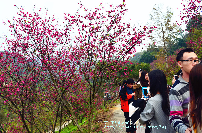 濁水巷 066_副本.jpg