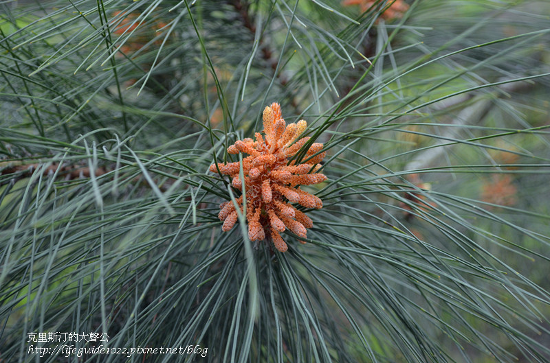 濁水巷 168_副本.jpg