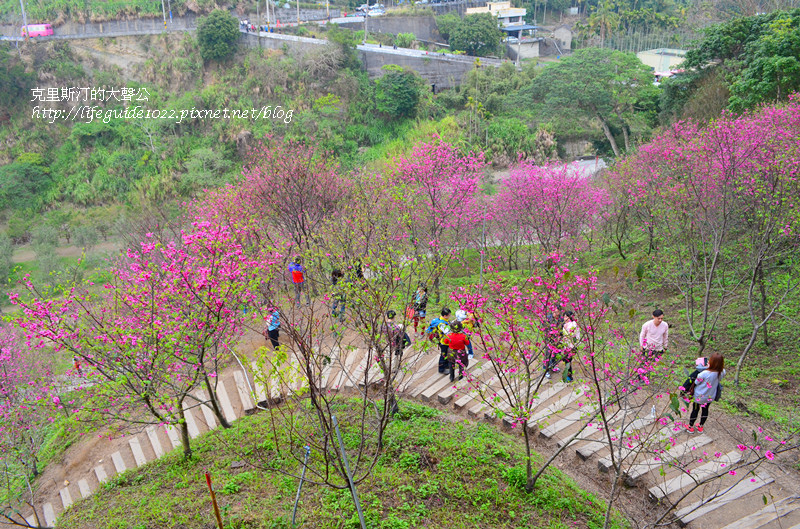 濁水巷 131_副本.jpg