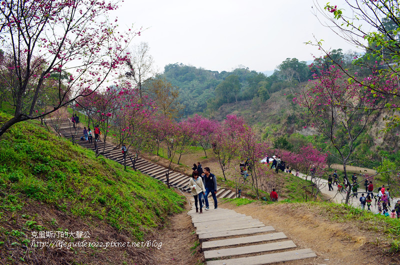 濁水巷 144_副本.jpg