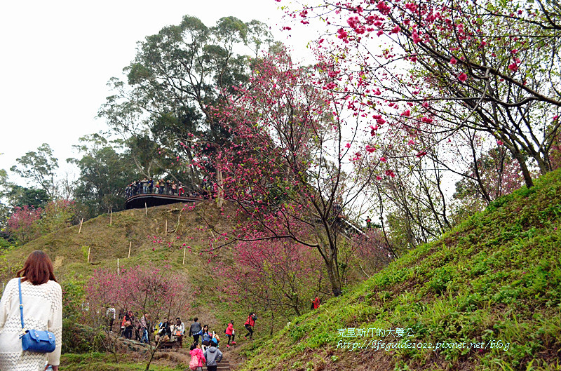 濁水巷 108_副本.jpg