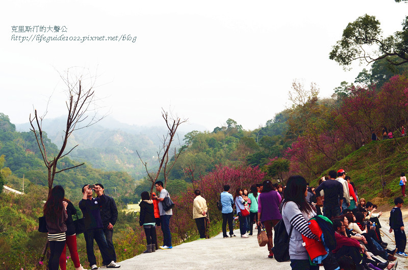 濁水巷 050_副本.jpg