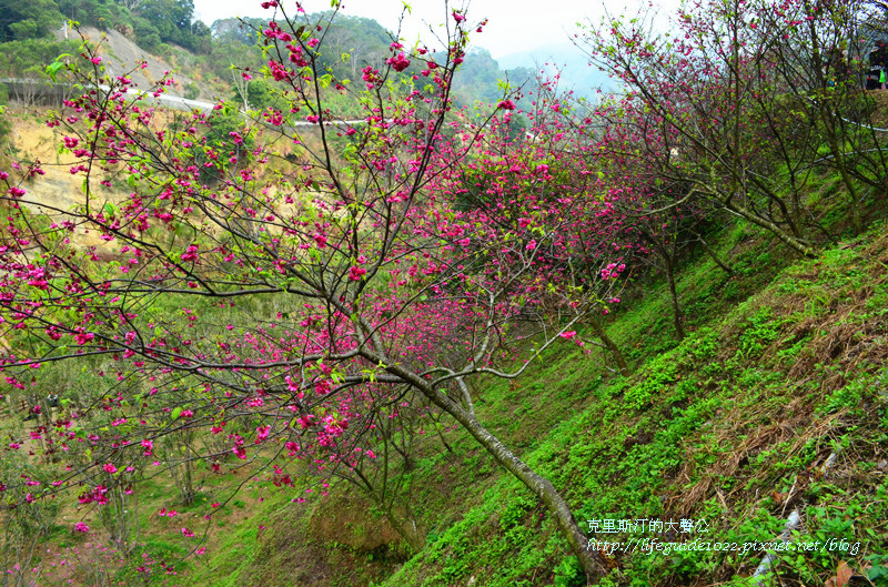 濁水巷 041_副本.jpg