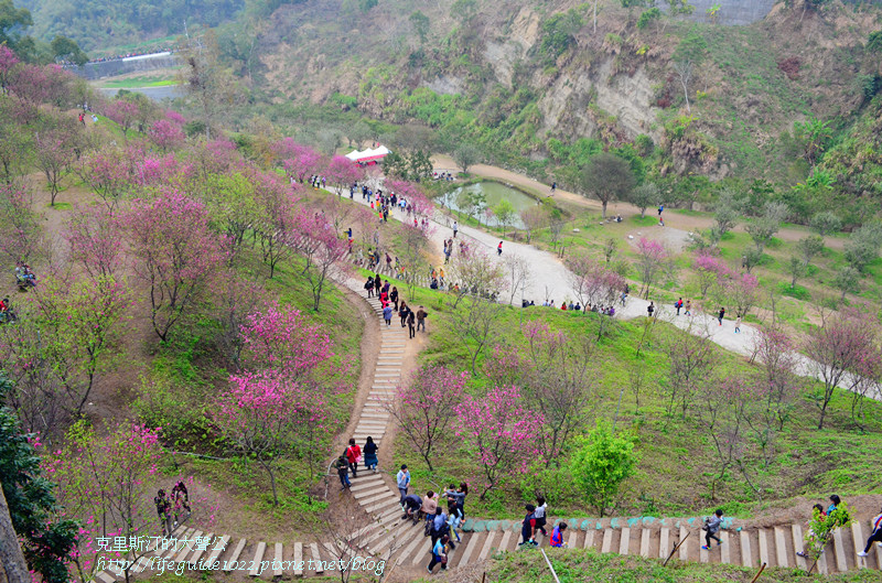 濁水巷 130_副本.jpg