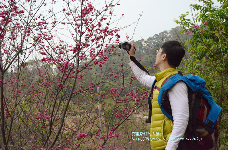 濁水巷 115_副本.jpg