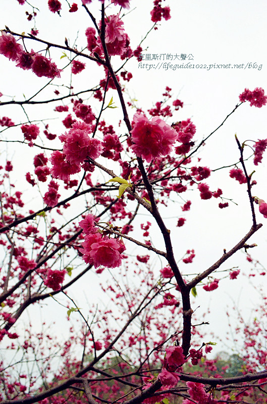 濁水巷 076_副本.jpg