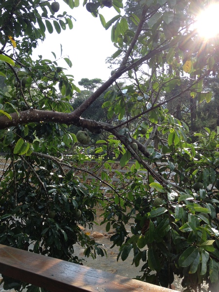 金都餐廳:美味饗宴之南投〞金都餐廳〞