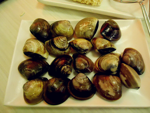 石二鍋(中興店):【台中火鍋食記】物美價廉的美味火鍋真是造福人民阿@王品集團石二鍋大里中興店