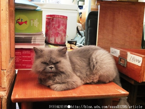 My Beverages 賣 飲料:【美食特搜。台南中西區】My Beverages 賣飲料。書香與甜品滋潤 高齡老屋改造而成的咖啡館