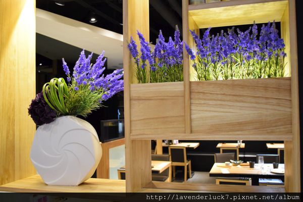 DSC_1700_副本-1024