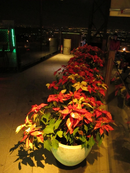 八卦夜未眠：(胖樺食記)陽明山八卦夜未眠景觀餐廳。火鍋燒烤熱炒一應俱全的複合式餐廳搭配無價美景。