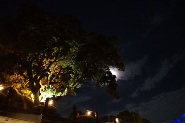 八卦夜未眠：(胖樺食記)陽明山八卦夜未眠景觀餐廳。火鍋燒烤熱炒一應俱全的複合式餐廳搭配無價美景。