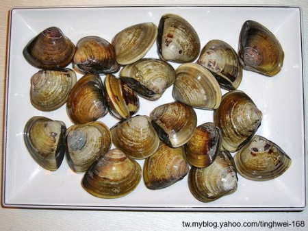 滿堂紅頂極麻辣鴛鴦火鍋(仁愛旗艦店):再訪 滿堂紅 火鍋吃到飽午餐~