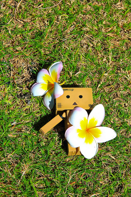 台東豐源國民小學：[遊記]【台東市】豐源國小。 最美的小學擁有地中海造景