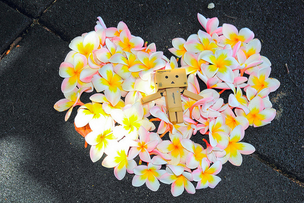 台東豐源國民小學：[遊記]【台東市】豐源國小。 最美的小學擁有地中海造景