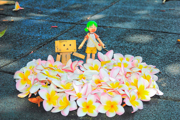 台東豐源國民小學：[遊記]【台東市】豐源國小。 最美的小學擁有地中海造景