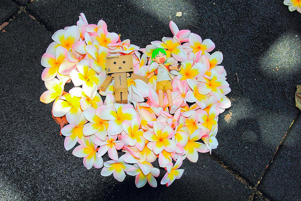 台東豐源國民小學：[遊記]【台東市】豐源國小。 最美的小學擁有地中海造景