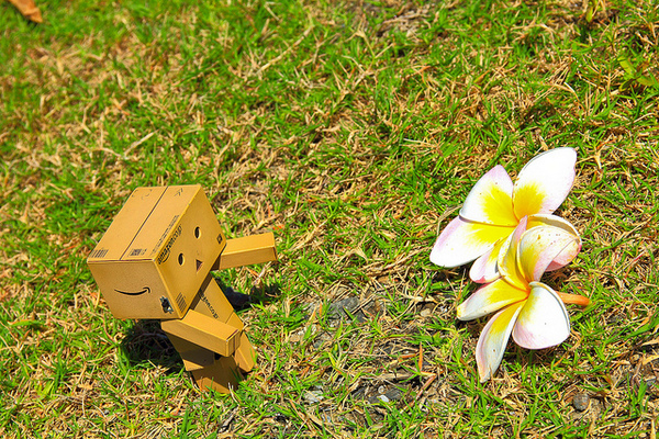 台東豐源國民小學：[遊記]【台東市】豐源國小。 最美的小學擁有地中海造景