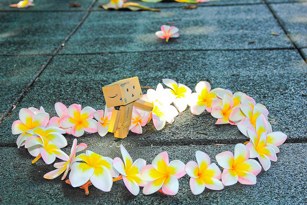 台東豐源國民小學：[遊記]【台東市】豐源國小。 最美的小學擁有地中海造景