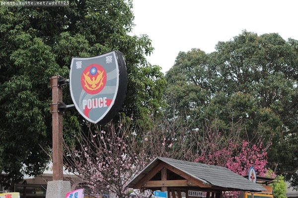 泰安派出所:賞櫻in泰安派出所✪櫻花盛開,好美唷❤~103.02.07