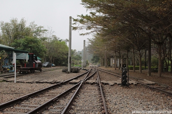 泰安派出所:賞櫻in泰安派出所✪櫻花盛開,好美唷❤~103.02.07