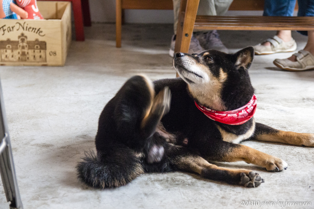 未命名 (33 - 47).JPG