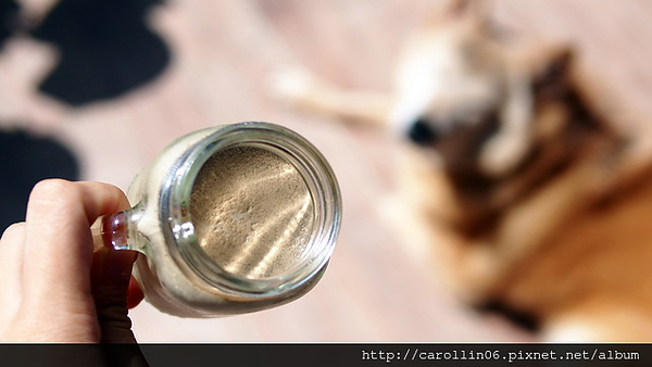 貓茶町：【食記】《貓茶町》文山區特色茶甜點