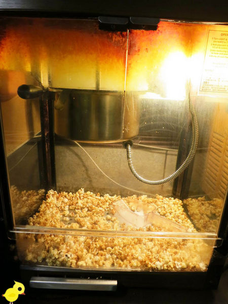 台北-青禾幸福鍋物涮涮屋(永安店)-個人鴛鴦火鍋-豪華海陸鍋-綜合魚片盤、犇牛盤