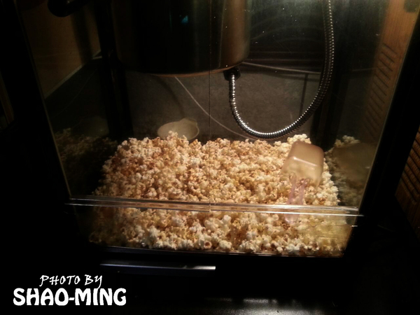 青禾幸福鍋物涮涮屋(永安店)：(中和)海陸饗宴、美味一番『青禾幸福鍋物』輕鬆享受美味好鍋