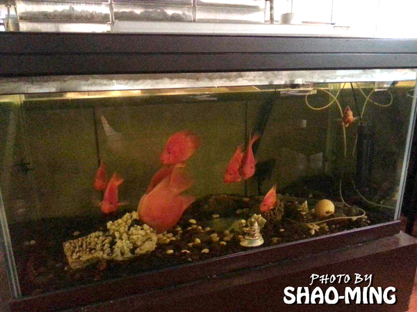 青禾幸福鍋物涮涮屋(永安店)：(中和)海陸饗宴、美味一番『青禾幸福鍋物』輕鬆享受美味好鍋