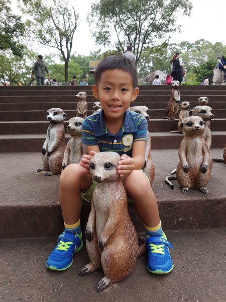 【新竹/關西】六福村主題遊樂園