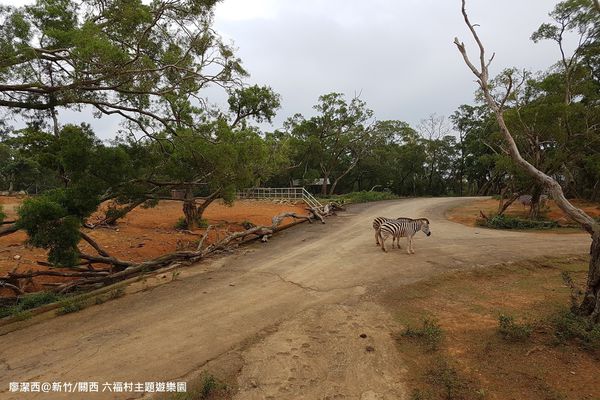 【新竹/關西】六福村主題遊樂園
