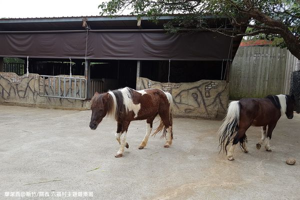 【新竹/關西】六福村主題遊樂園