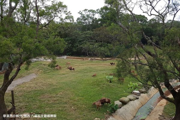 【新竹/關西】六福村主題遊樂園