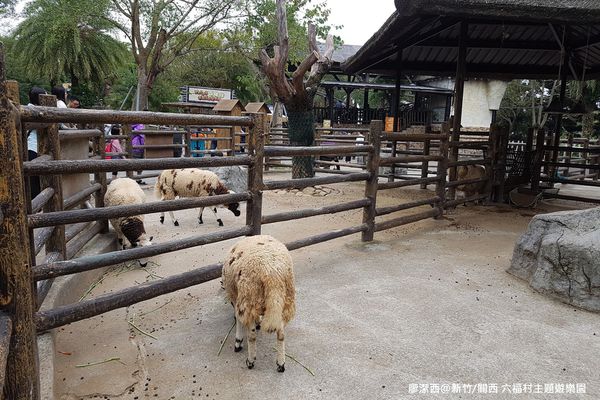 【新竹/關西】六福村主題遊樂園