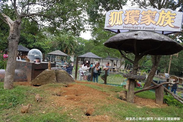 【新竹/關西】六福村主題遊樂園
