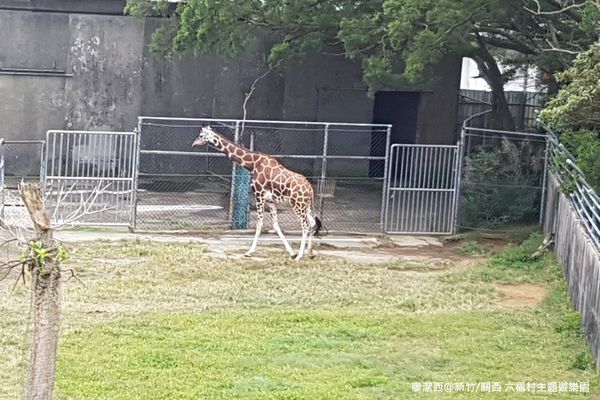 【新竹/關西】六福村主題遊樂園