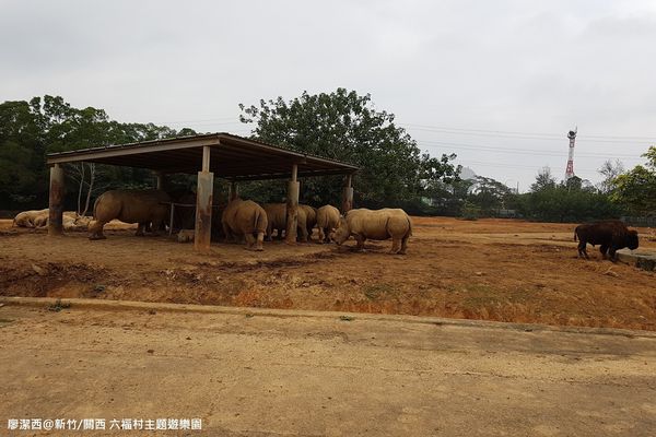 【新竹/關西】六福村主題遊樂園