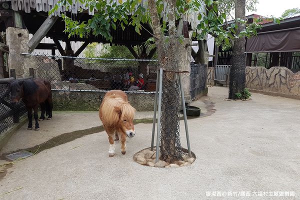 【新竹/關西】六福村主題遊樂園