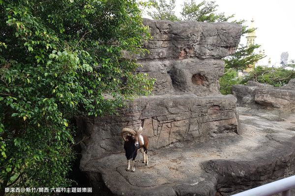 【新竹/關西】六福村主題遊樂園
