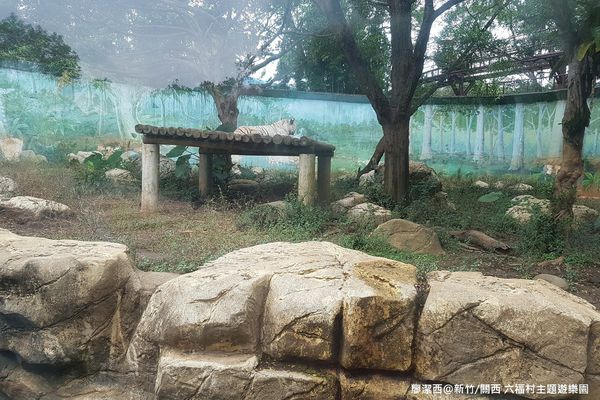 【新竹/關西】六福村主題遊樂園