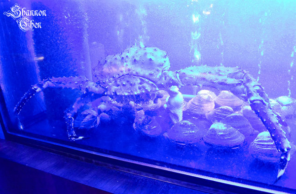 犇鐵板燒:*美食*犇鐵板燒*吃氣氛的高級鐵板燒