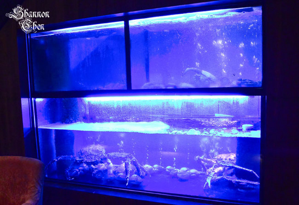 犇鐵板燒:*美食*犇鐵板燒*吃氣氛的高級鐵板燒