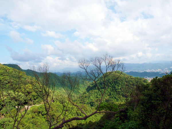 碧山巖:【內湖】碧山巖。吸取芬多精。眺望美景的好所在
