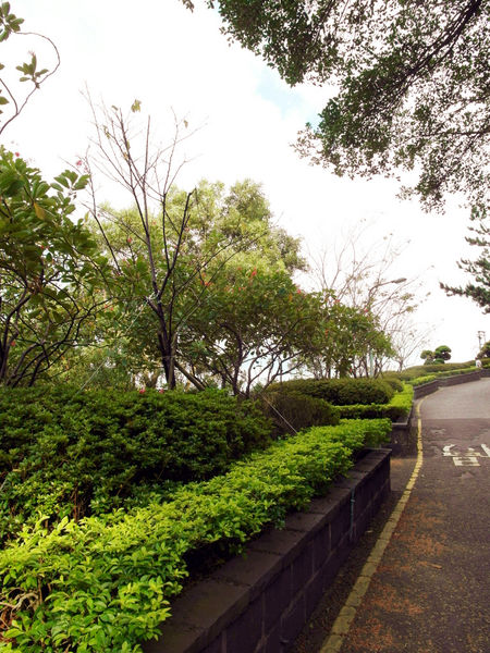 碧山巖:【內湖】碧山巖。吸取芬多精。眺望美景的好所在