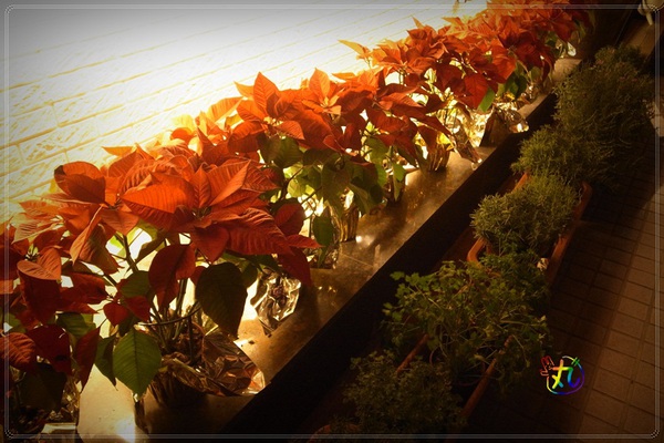 石窯屋：新北。蘆洲 ║口碑券‧石窯屋～值得推薦再訪的美味店家