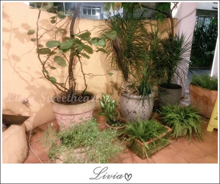 2014-07-22 19.10.49.jpg