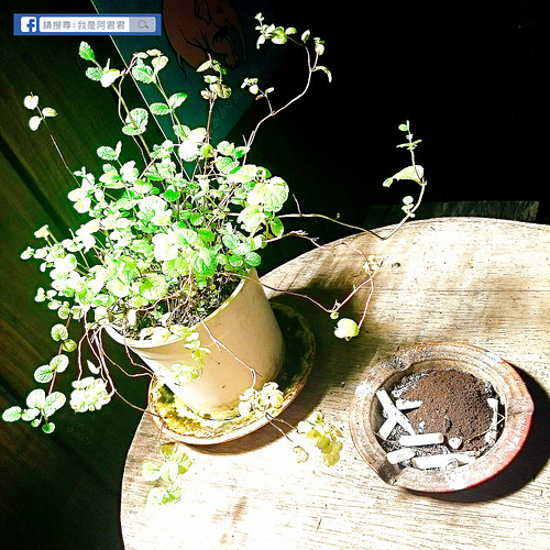 Route 66美式餐廳_阿君君-10